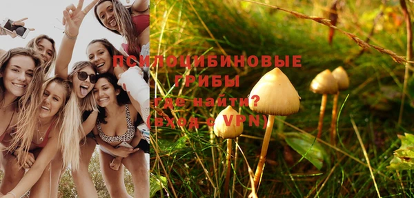 Альфа ПВП Липки