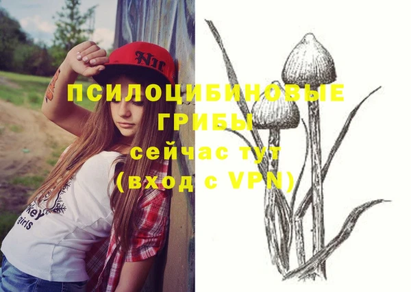 а пвп мука Лиски