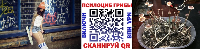 Псилоцибиновые грибы мухоморы  ссылка на мегу вход  Хасавюрт 