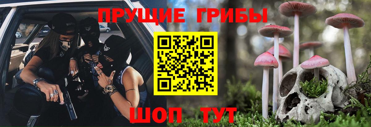 купить наркоту  Вход с VPN  Хасавюрт  Галлюциногенные грибы GOLDEN TEACHER 